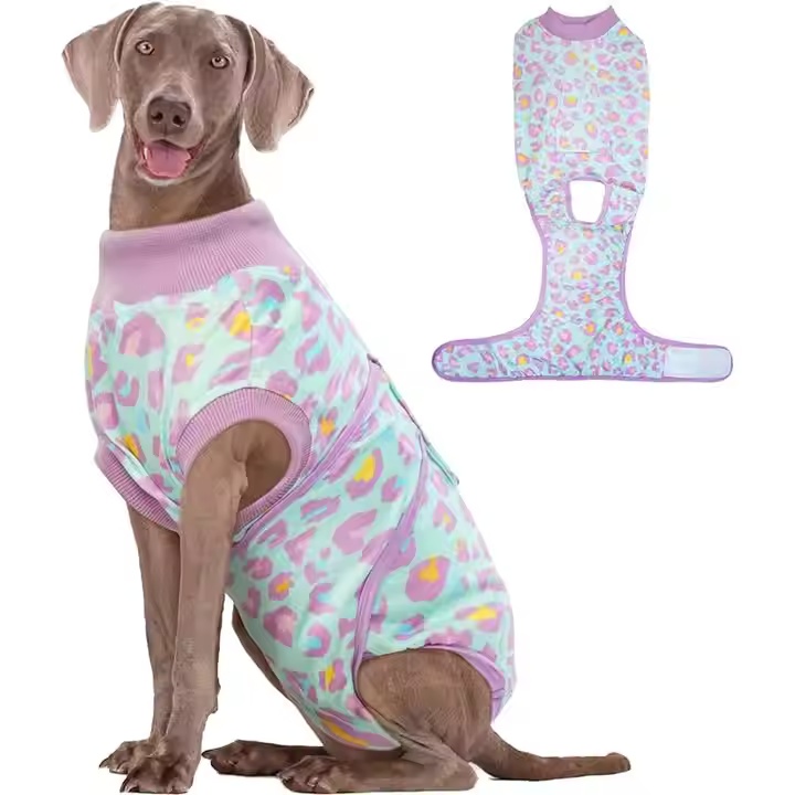 Curated visual reference: Picture Idea: Recovery Suit For Dogs Comfortable Post Surgery And Skin Protection