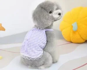 custom pet apparel
