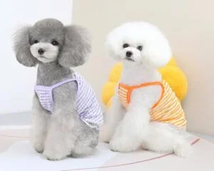 custom pet apparel
