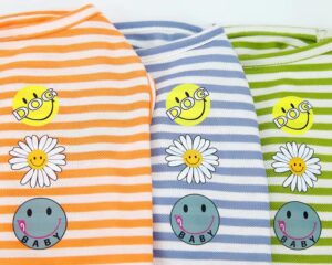 dog summer outfits