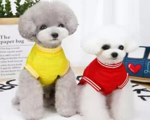 mesh dog vest