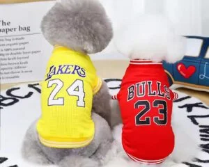 mesh dog vest