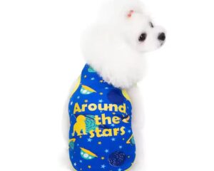 dog summer clothes
