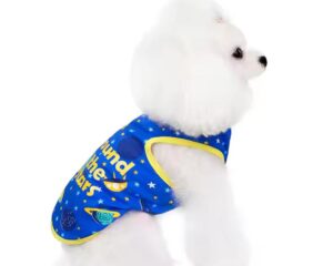 dog summer clothes