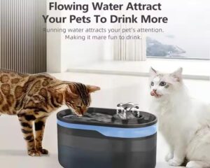 automatic pet water fountain