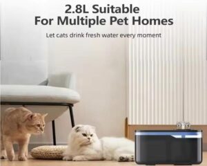 automatic pet water fountain