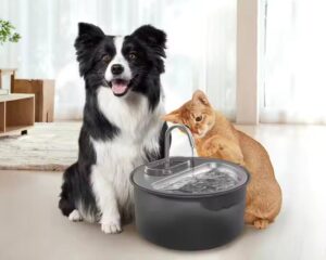 pet water fountain stainless steel