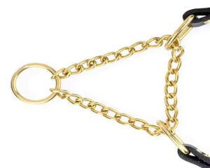 padded leather dog collar