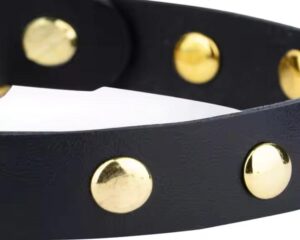 padded leather dog collar
