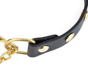 padded leather dog collar