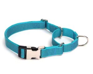 collar nylon for dogs