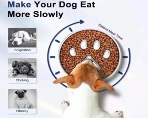 stainless steel dog bowls with stand