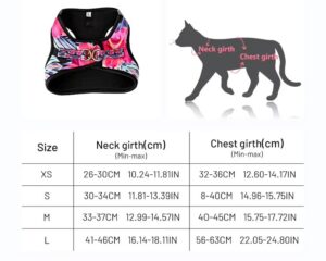 cat harness and leash set