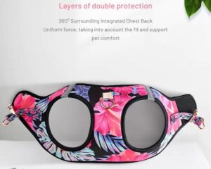 cat harness and leash set