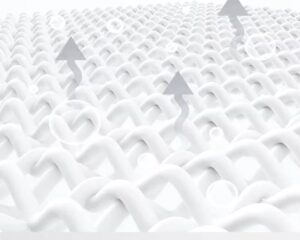 cat harness and leash set