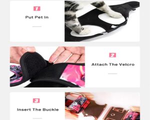 cat harness and leash set