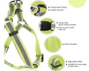 adjustable nylon dog harness