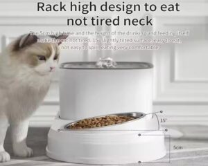 pet food and water dispenser