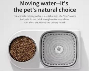 pet food and water dispenser