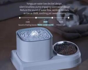 pet food and water dispenser