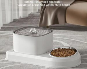 pet food and water dispenser