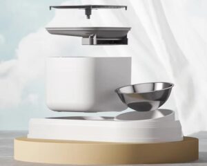 pet food and water dispenser