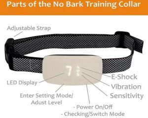 anti bark collar for small dogs