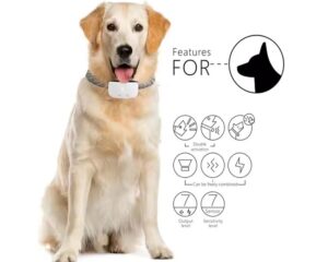 anti bark collar for small dogs