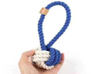 rope bone dog toy