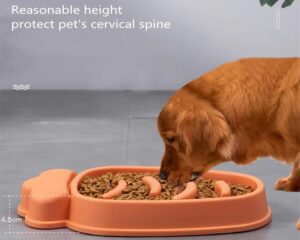 slow feeder dog food bowl
