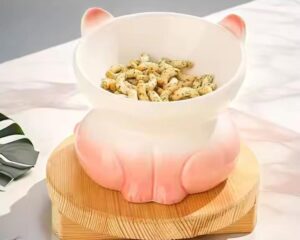ceramic pet food bowls