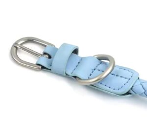 braided dog leash