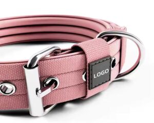 nylon dog collar