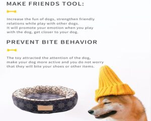 round pet beds