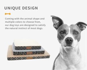 foam dog bed 