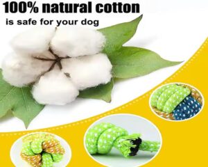 durable dog chew toy