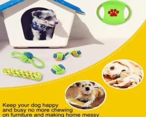 durable dog chew toy
