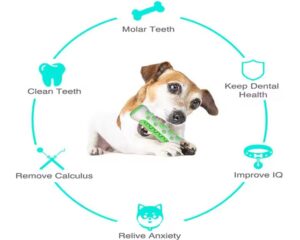 rubber dog chew toys