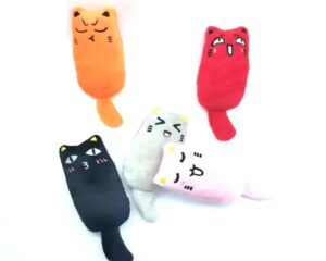 catnip plush toy