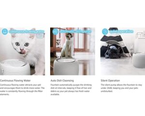 filtered water fountain for cats