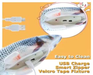 catnip fish cat toy