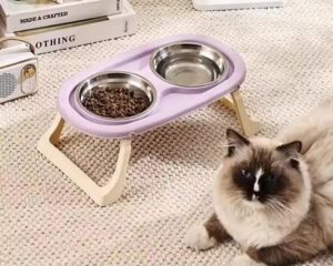 non-slip dog bowl