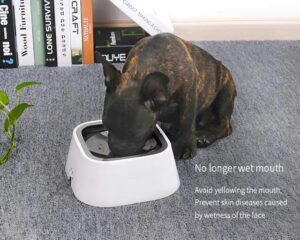 no spill bowls for dogs 
