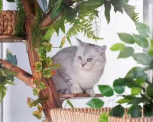 large wooden cat tree