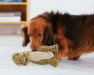 TPR dog toy