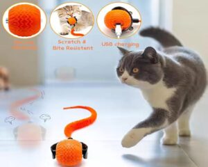 cat interactive ball