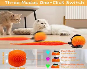 cat interactive ball