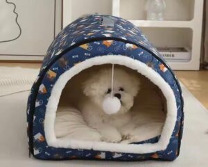 memory foam cat bed