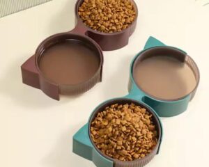 double cat bowl