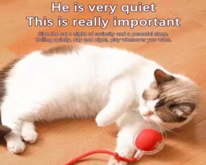 electric cat toy